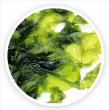 Nori Yaki Extract Powder