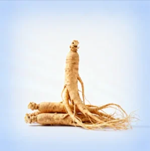 Panax Ginseng Extract