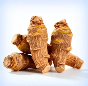 Rhodiola Rosea Root Powder