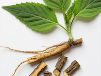 MenForceX-Horny-Goat-Weed